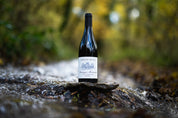 Chassagne Montrachet Premier Cru rouge Morgeot Armand Heitz