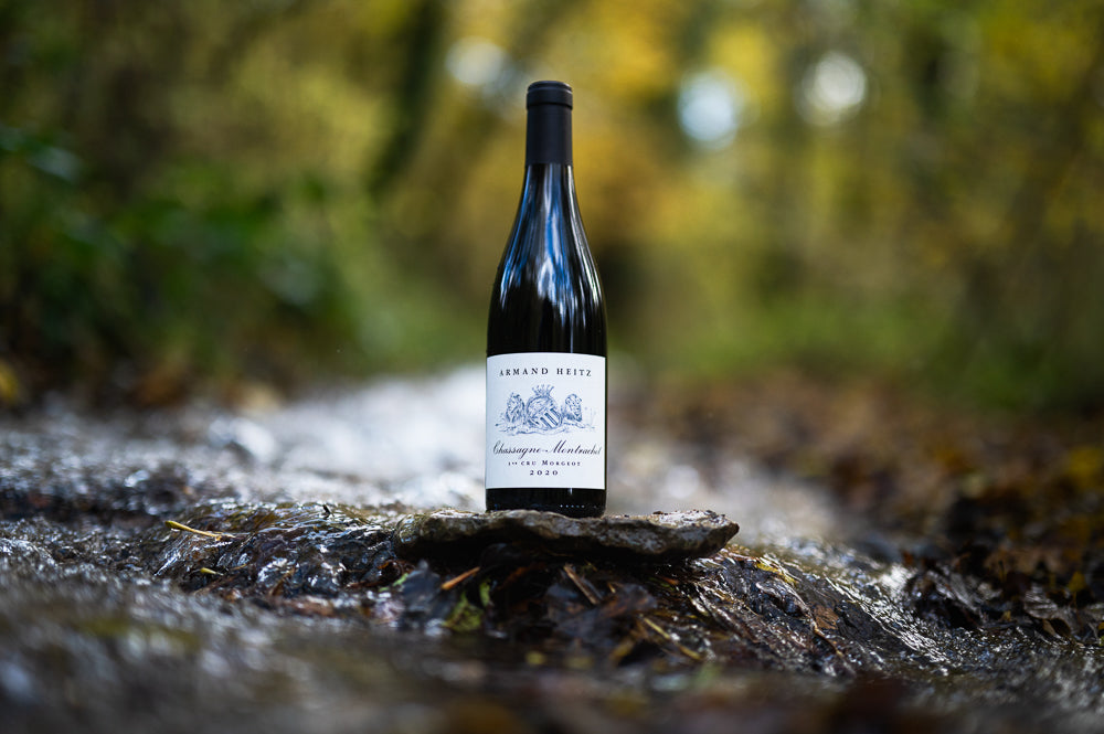 Chassagne Montrachet Premier Cru rouge Morgeot Armand Heitz