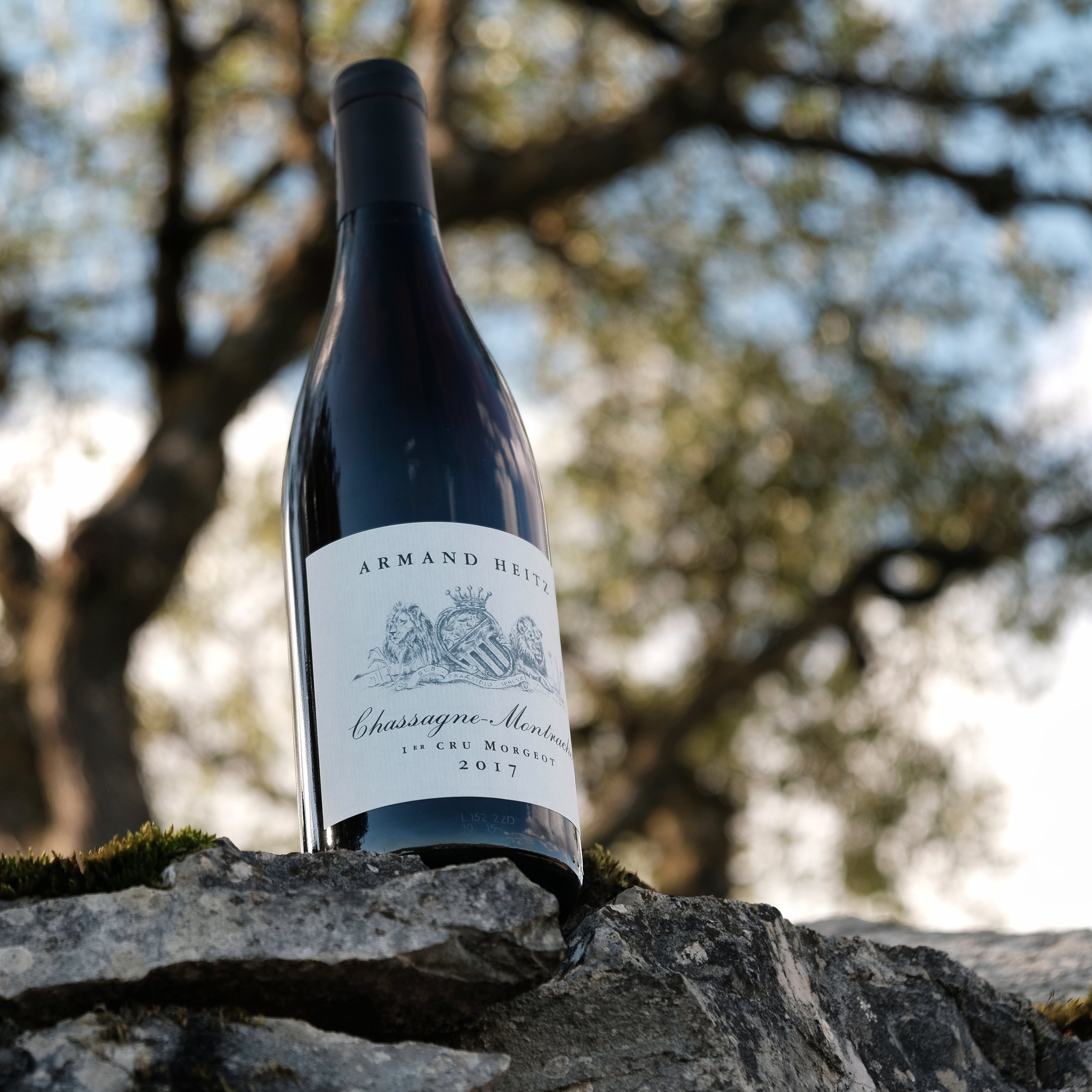 Bouteille de Chassagne Montrachet 1er Cru Morgeot 2017