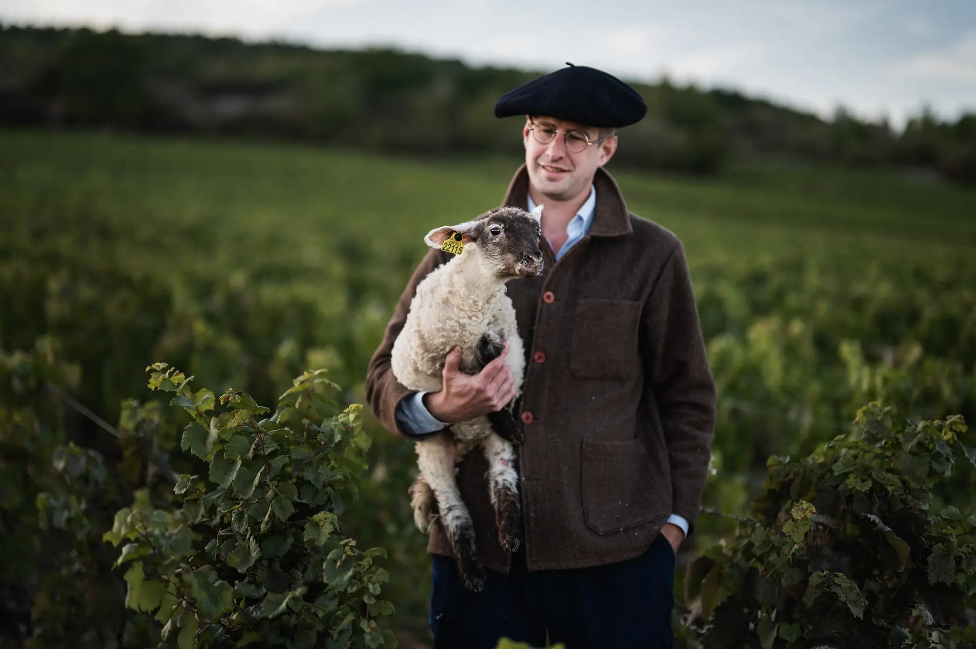 armand-heitz-agneau-meursault-perrieres-contact-bourgogne.webp
