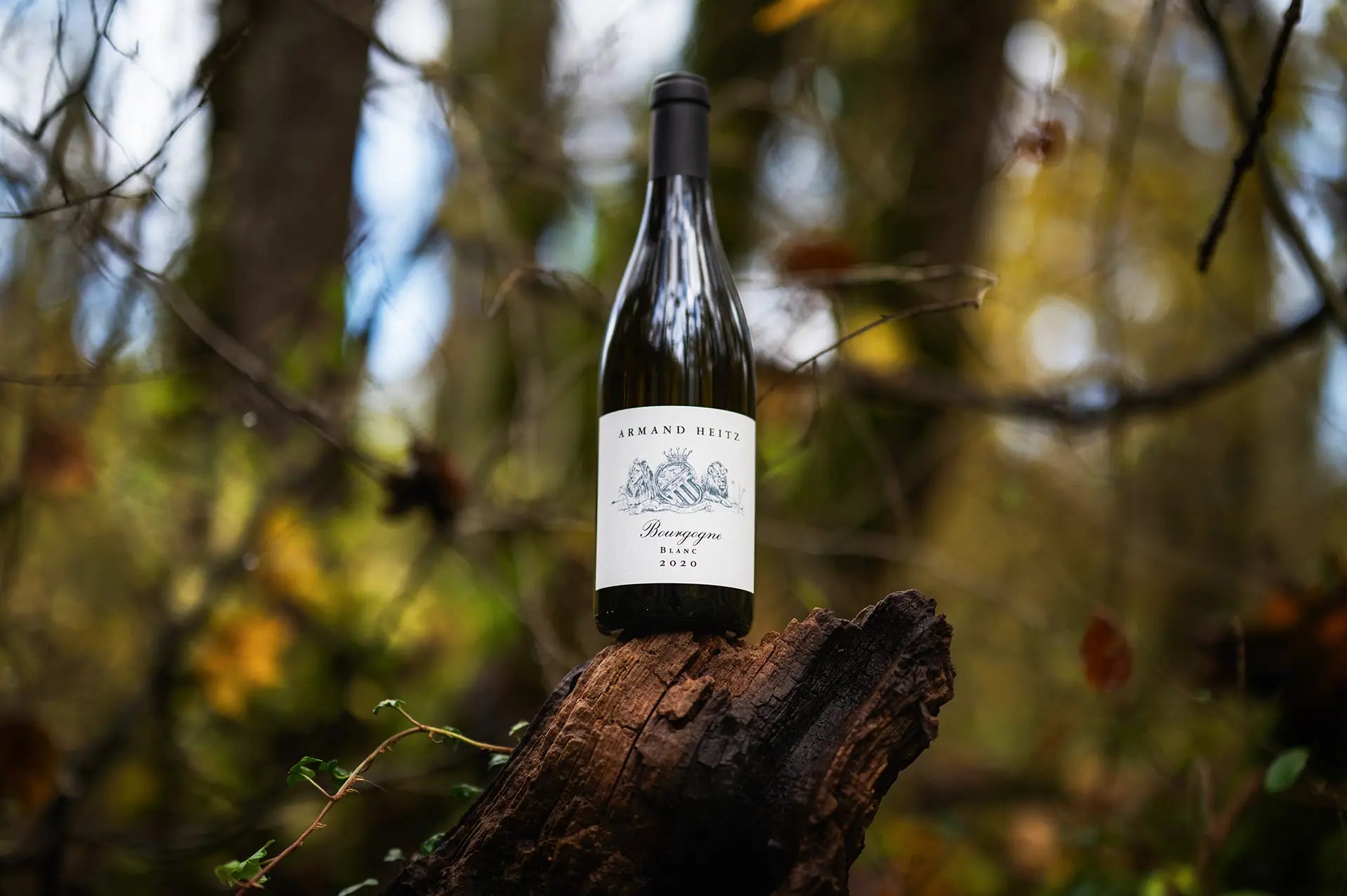 bourgogne-blanc-armand-heitz-fiches-techniques-vin-bourgogne.webp