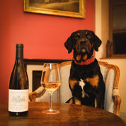 Saint Aubin 1er Cru - Murgers des Dents de Chien (blanc)