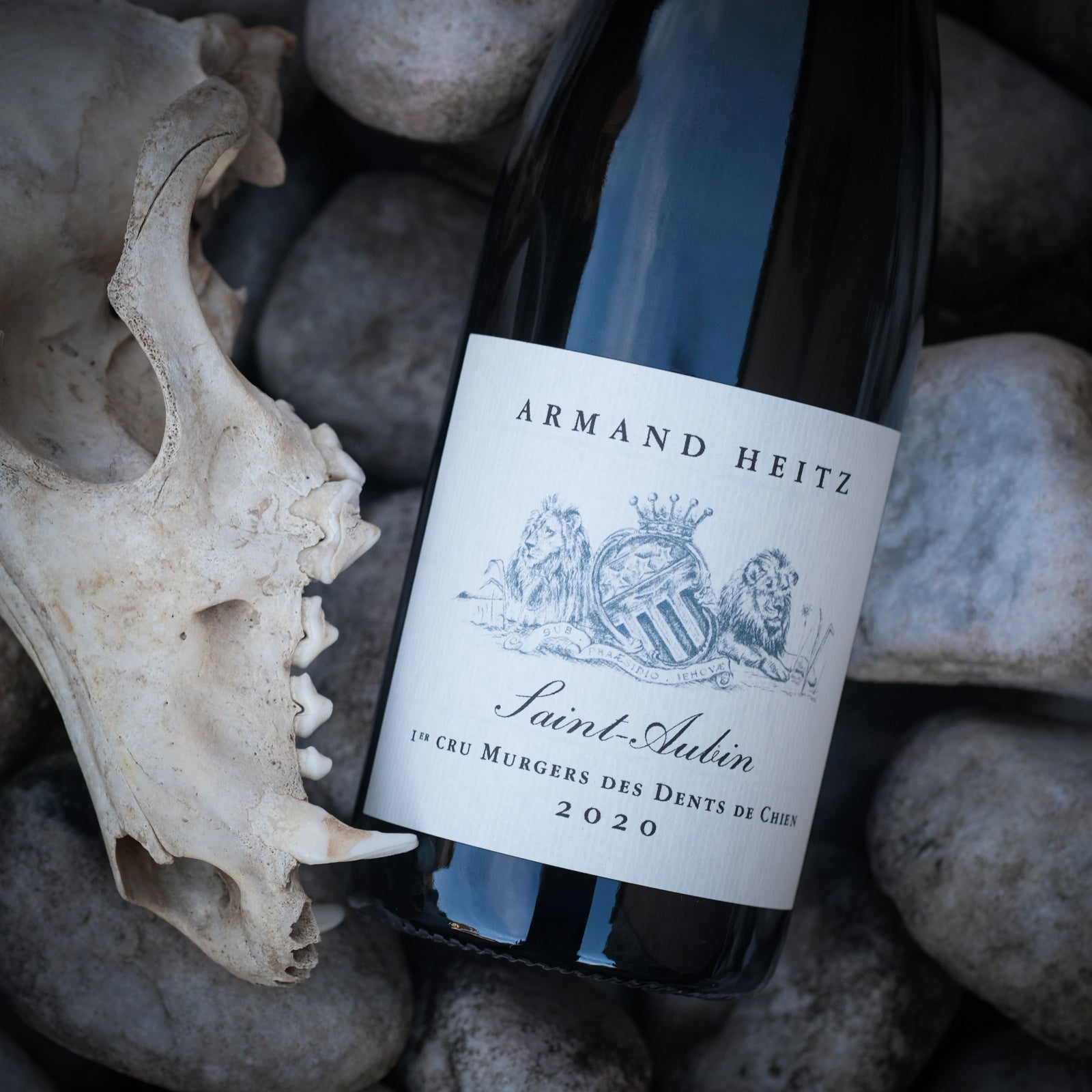 Saint Aubin 1er Cru - Murgers des Dents de Chien (blanc)
