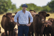 Armand Heitz, éleveur bovins et vigneron en Bourgogne, viande en circuit court