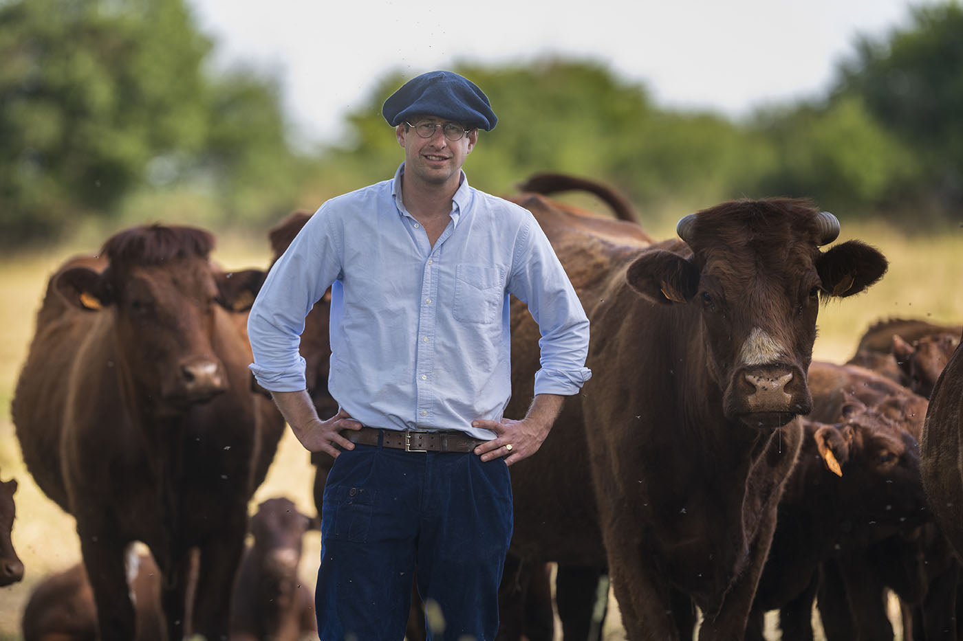 Armand Heitz, éleveur bovins et vigneron en Bourgogne, viande en circuit court