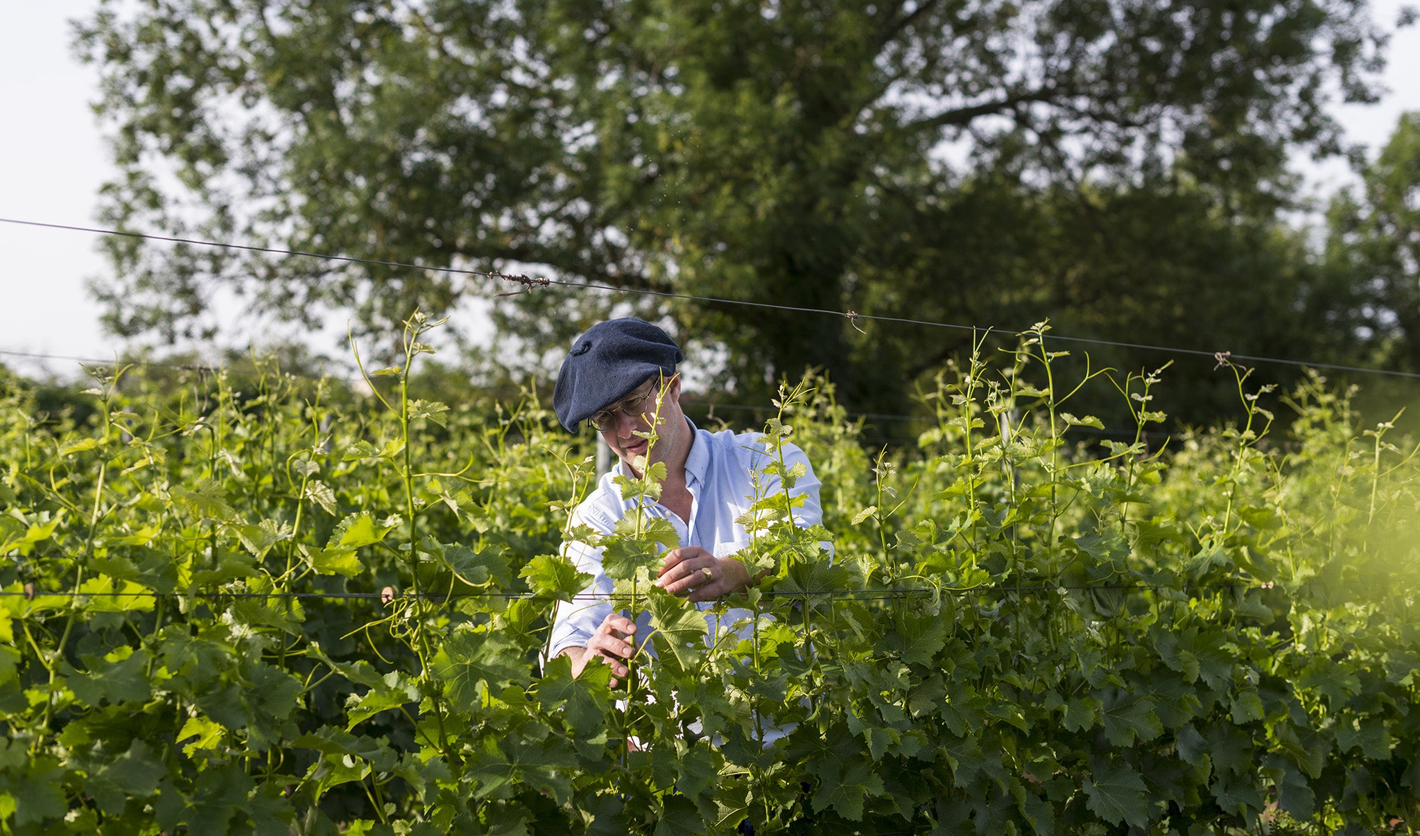 Innovation et agriculture