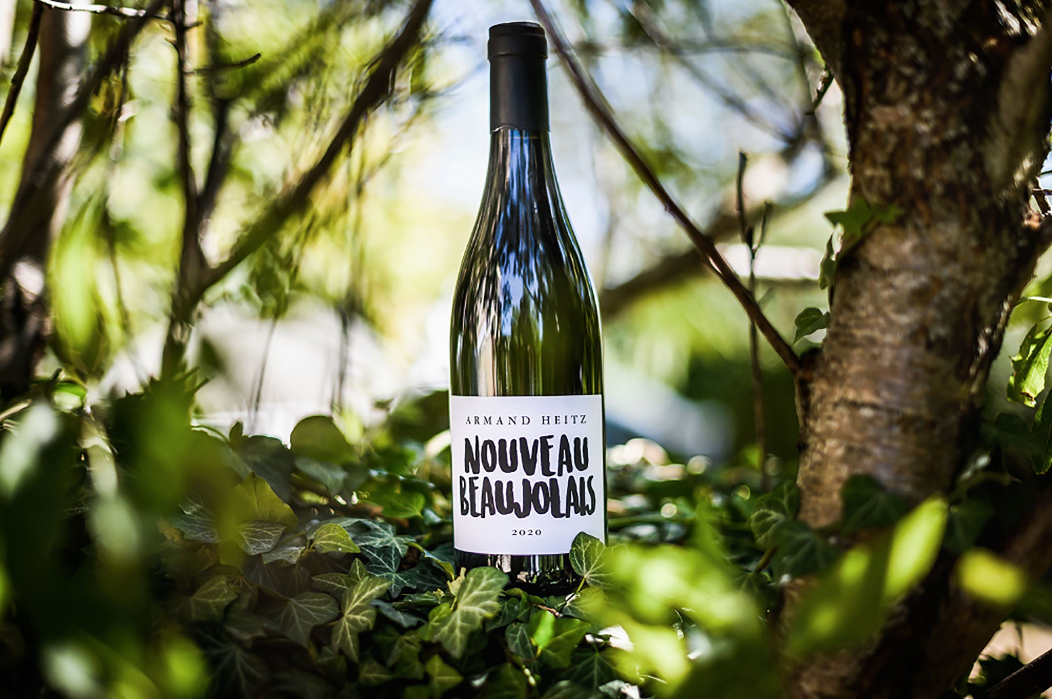 Le Nouveau Beaujolais 2020 par Armand Heitz