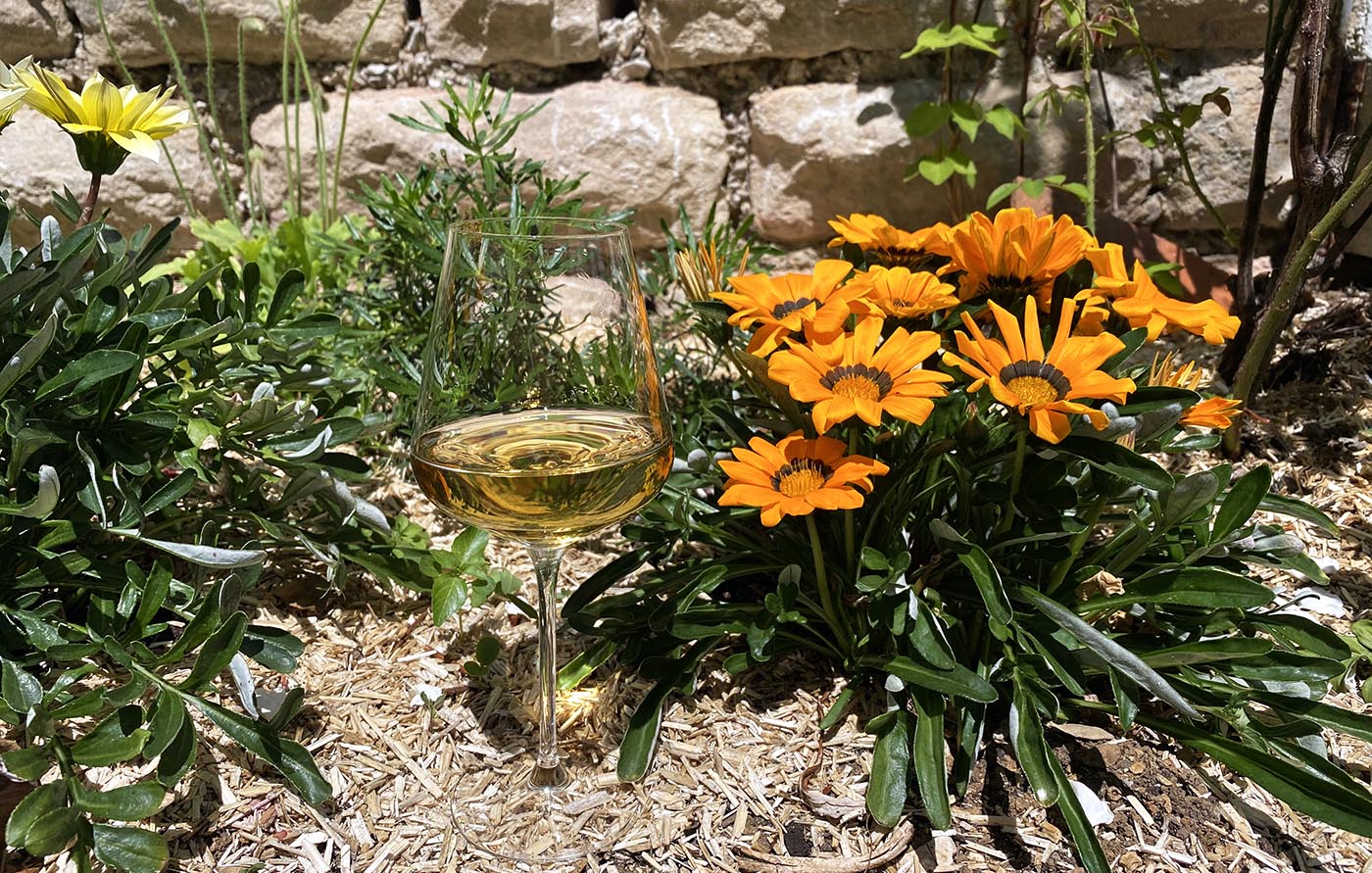 Dégustation Armand Heitz