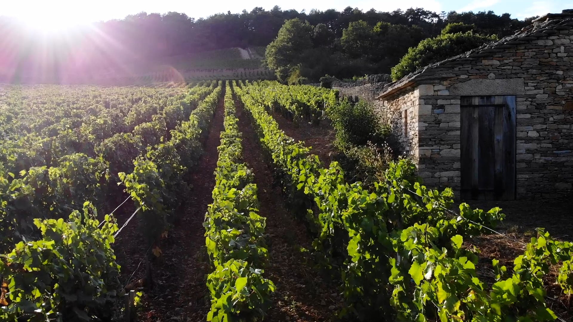 La cabotte, chantier d'A&A Heitz Architecture à Gevrey-Chambertin dans la parcelle Les Evocelles