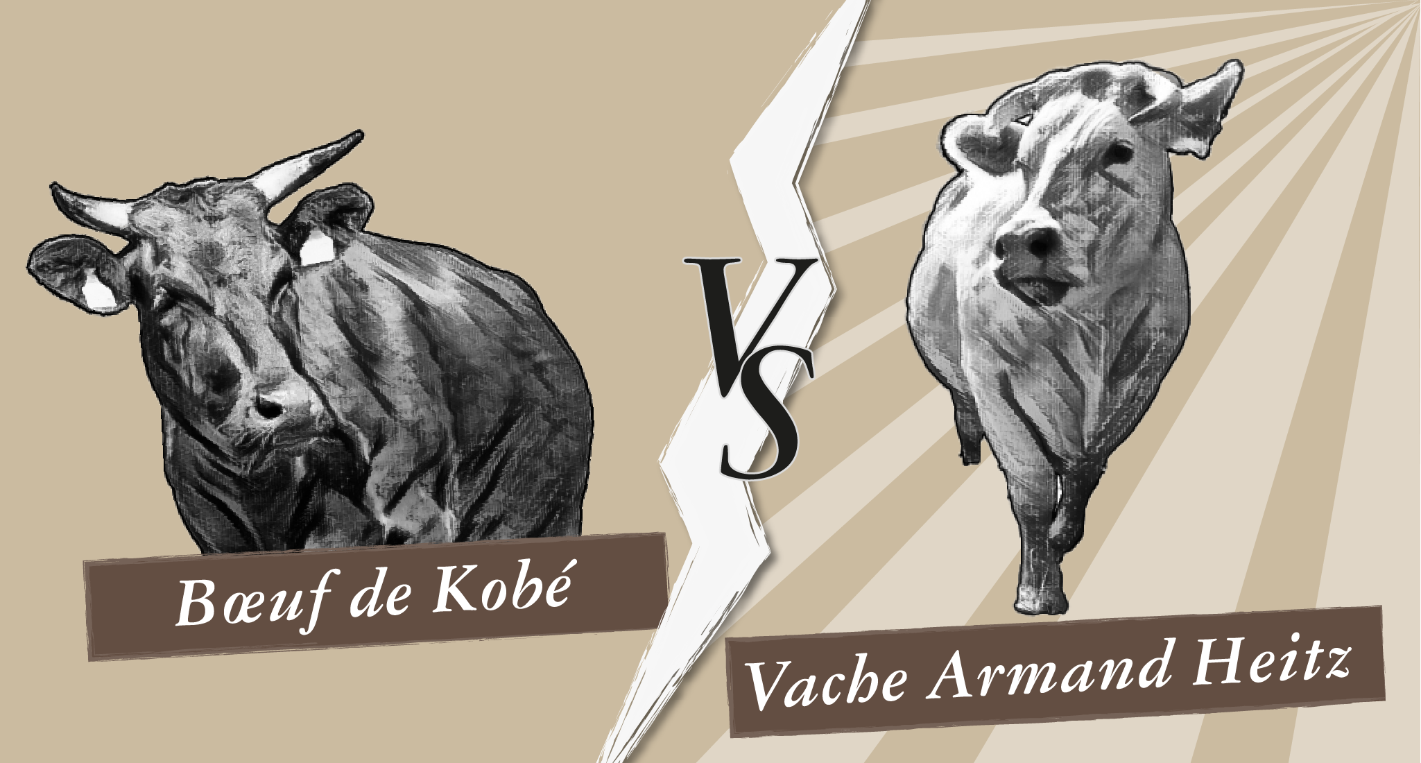 Boeuf de Kobé vs Vache Armand Heitz
