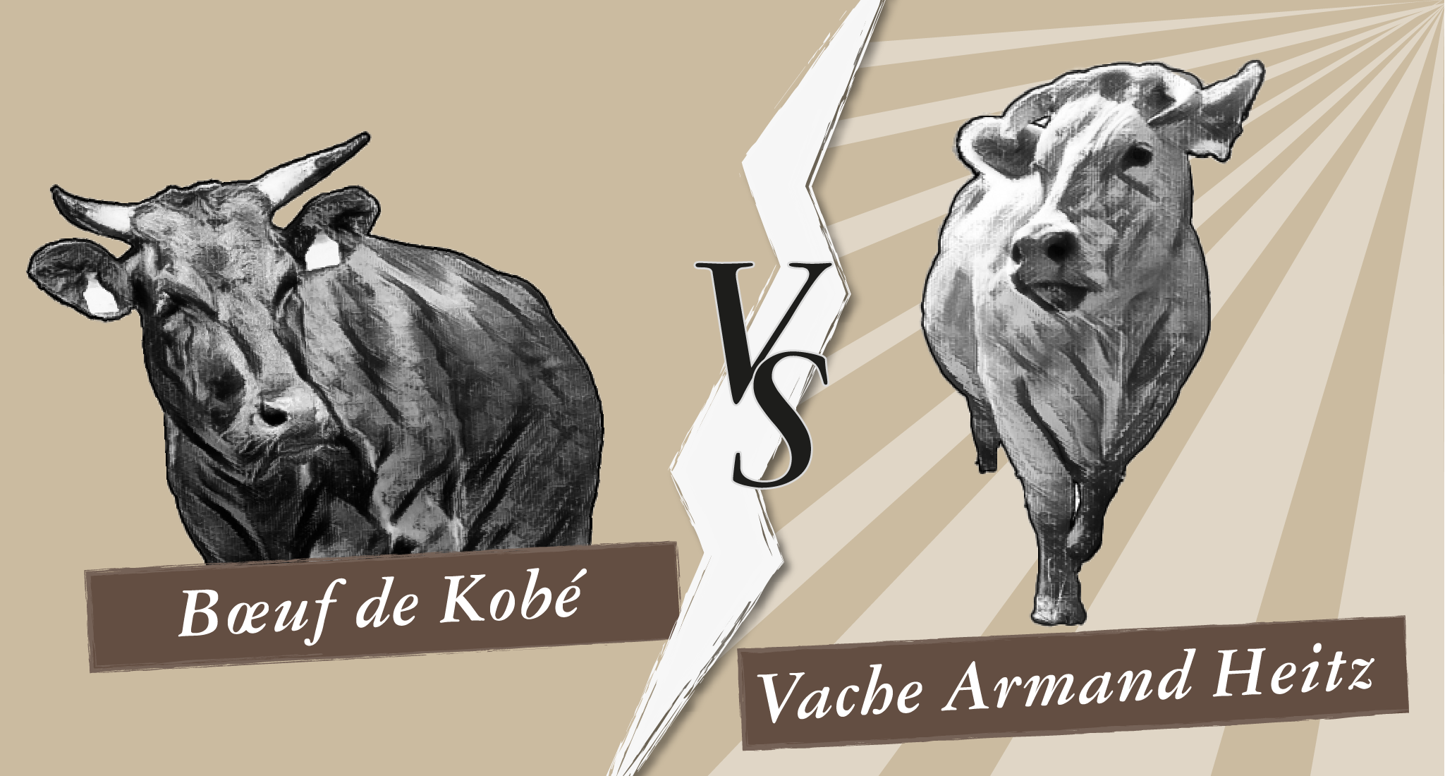 Bœuf de Kobé vs Vache Armand Heitz