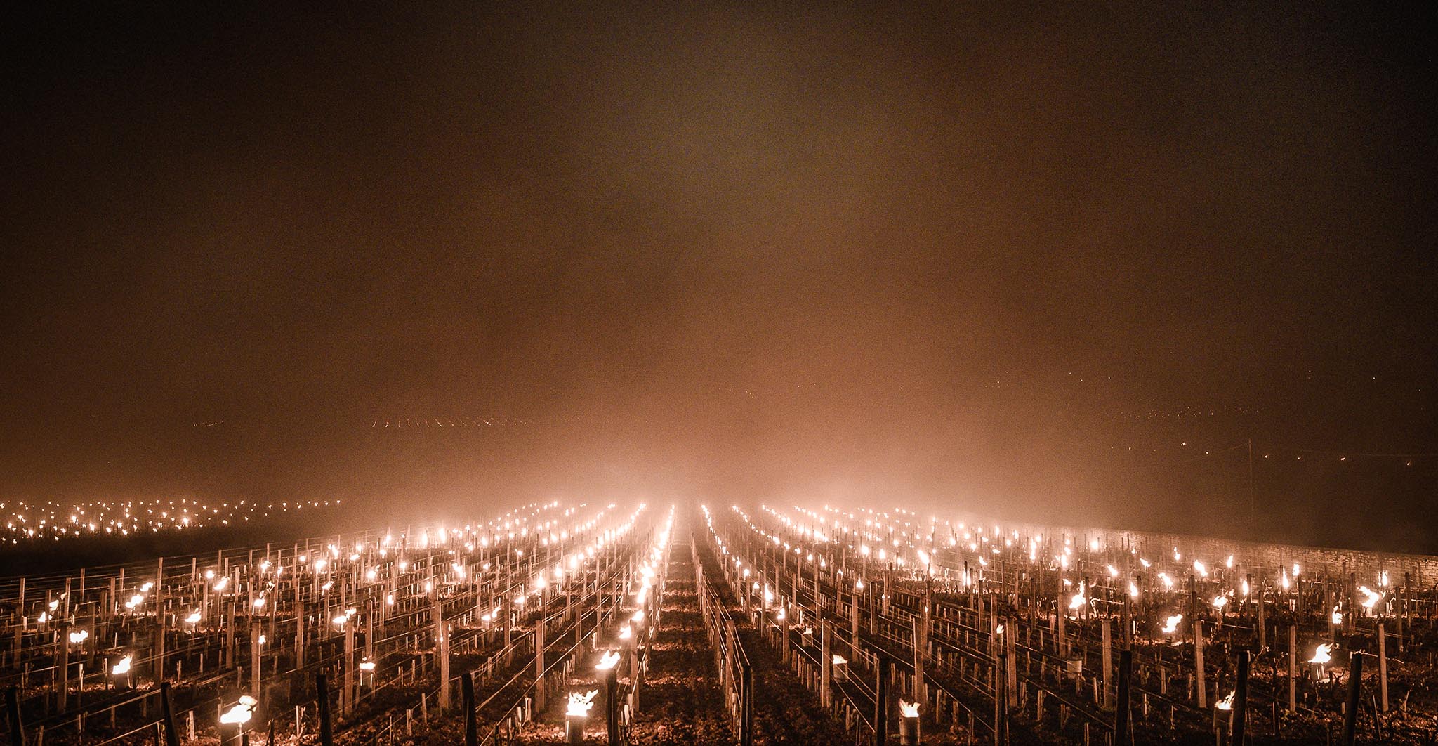 Lutte contre le gel dans les vignes avec des bougies