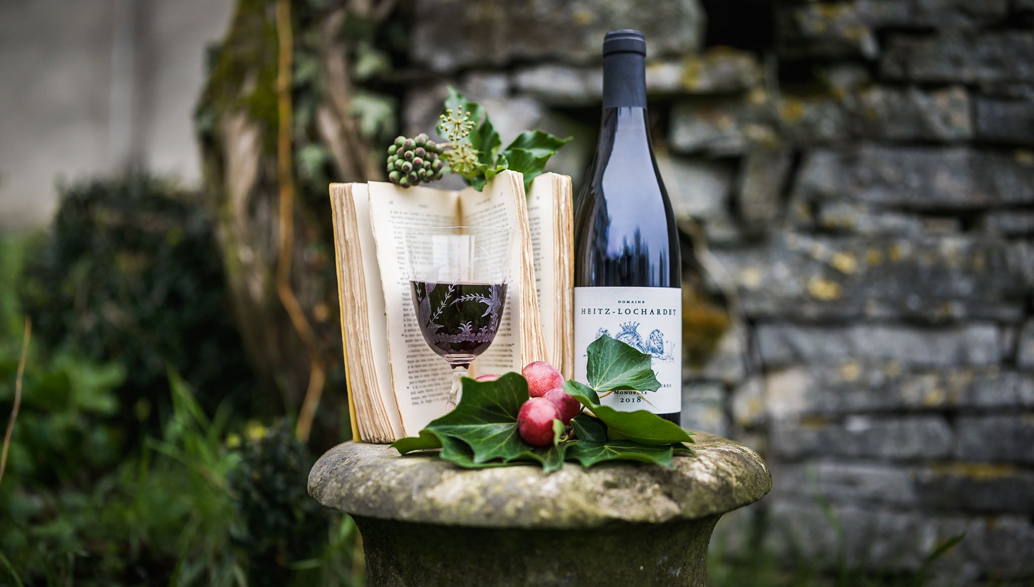 Homère l'Iliade poésie du vin