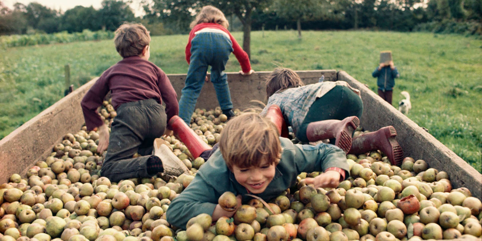 ©Photographie :  Madeleine de Sinéty aimait photographier la vie à la ferme et dans les champs