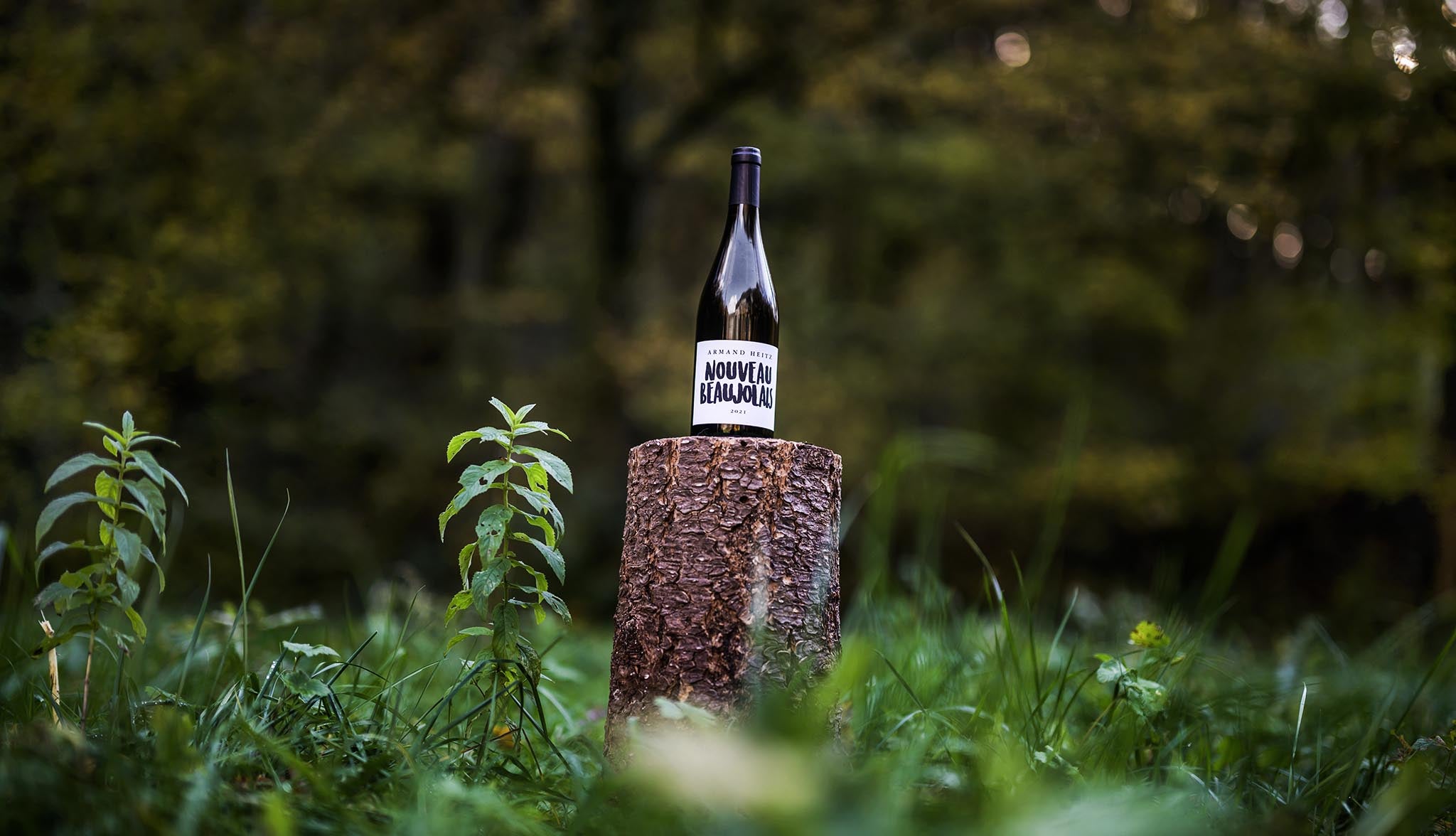 Bouteille de Nouveau Beaujolais 2021 Armand Heitz