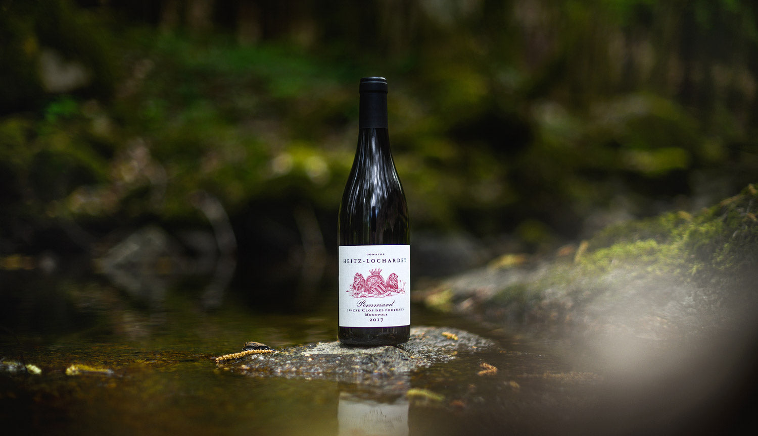 Pommard 1er Cru Clos des Poutures 2017 au coeur de la nature