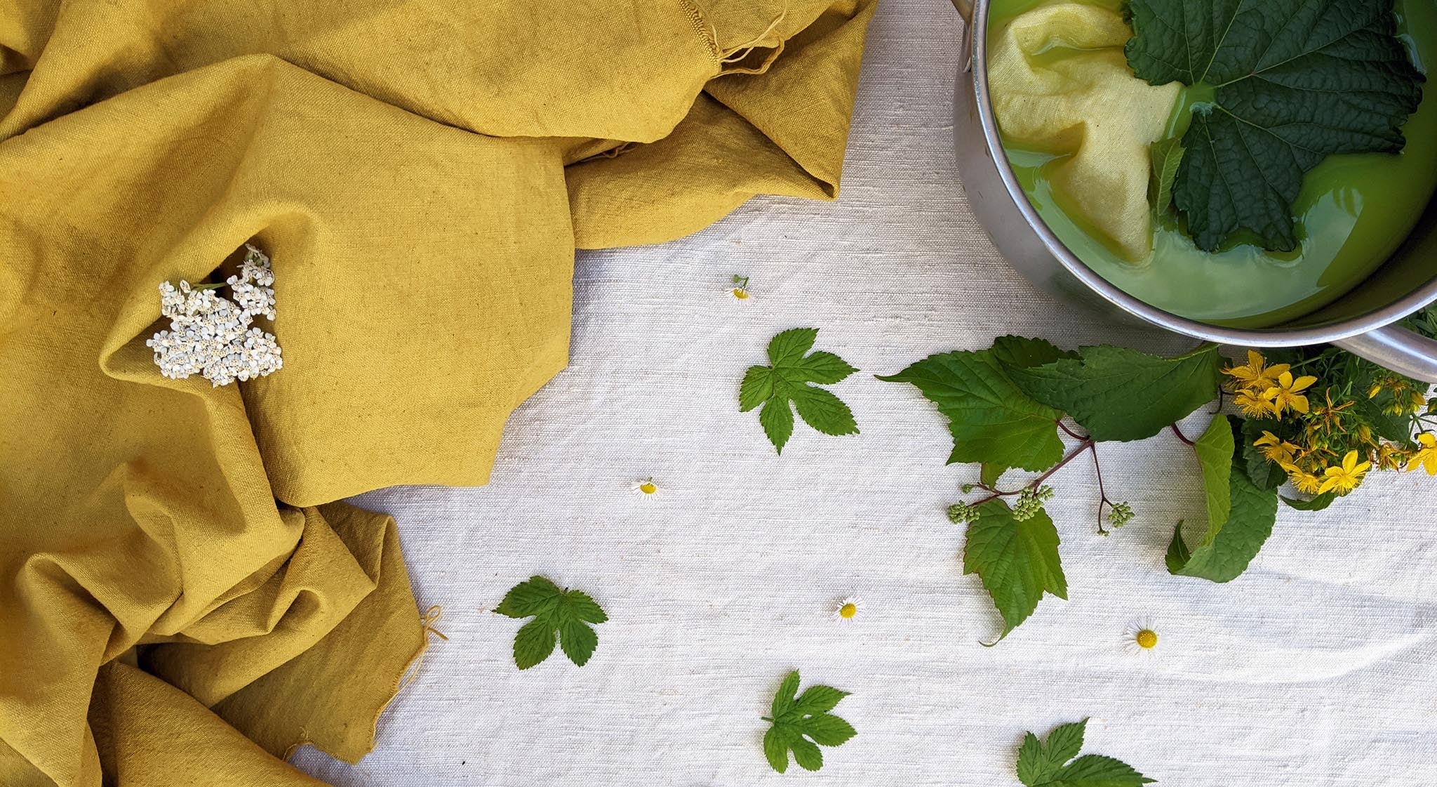 Teinture végétale et naturelle feuilles de vigne