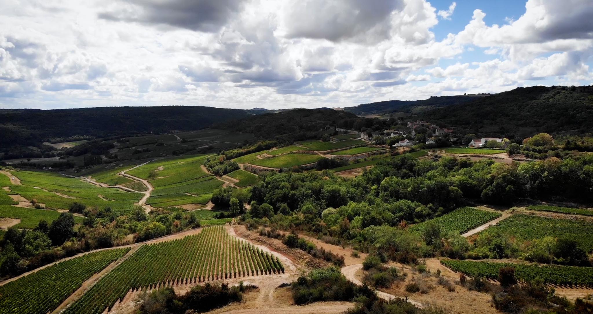 Photographie du vignoble Bourgogne vue de drone