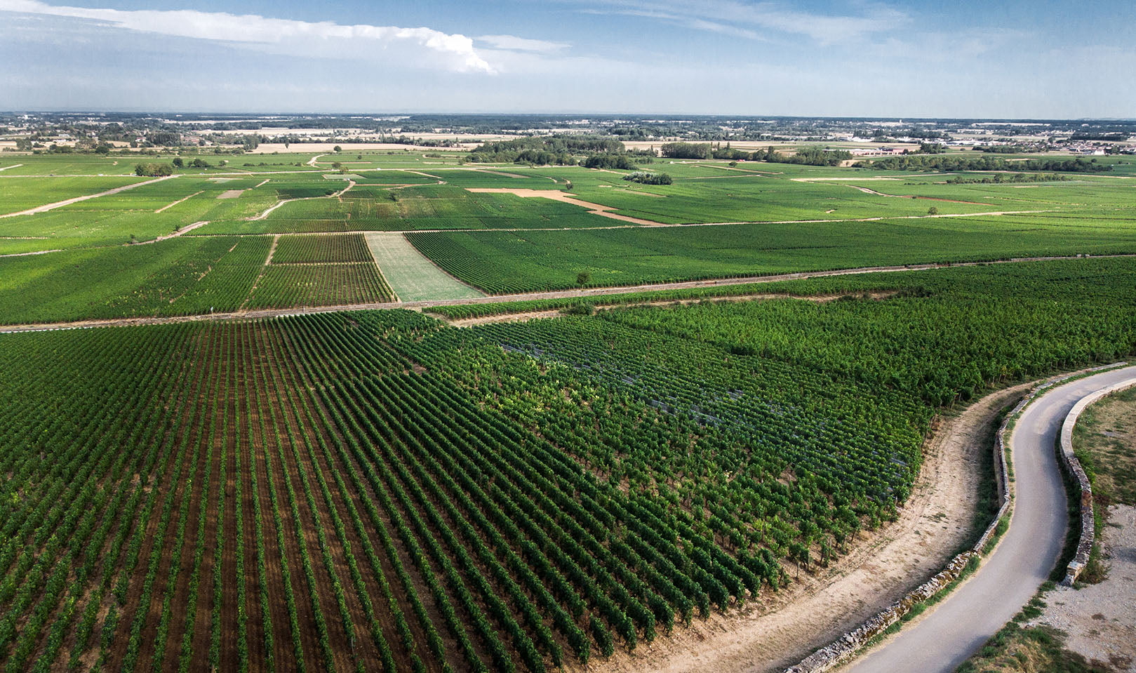 Parcelles Volnay Bourgogne appellations vins
