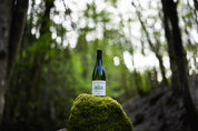 Meursault Village - La Barre - dégustation en forêt