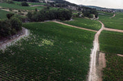 Parcelle-Chassagne-Montrachet 1er Cru - Tête du Clos