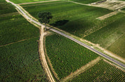 Meursault Village - Gruyaches - vignes de Bourgogne vues du ciel