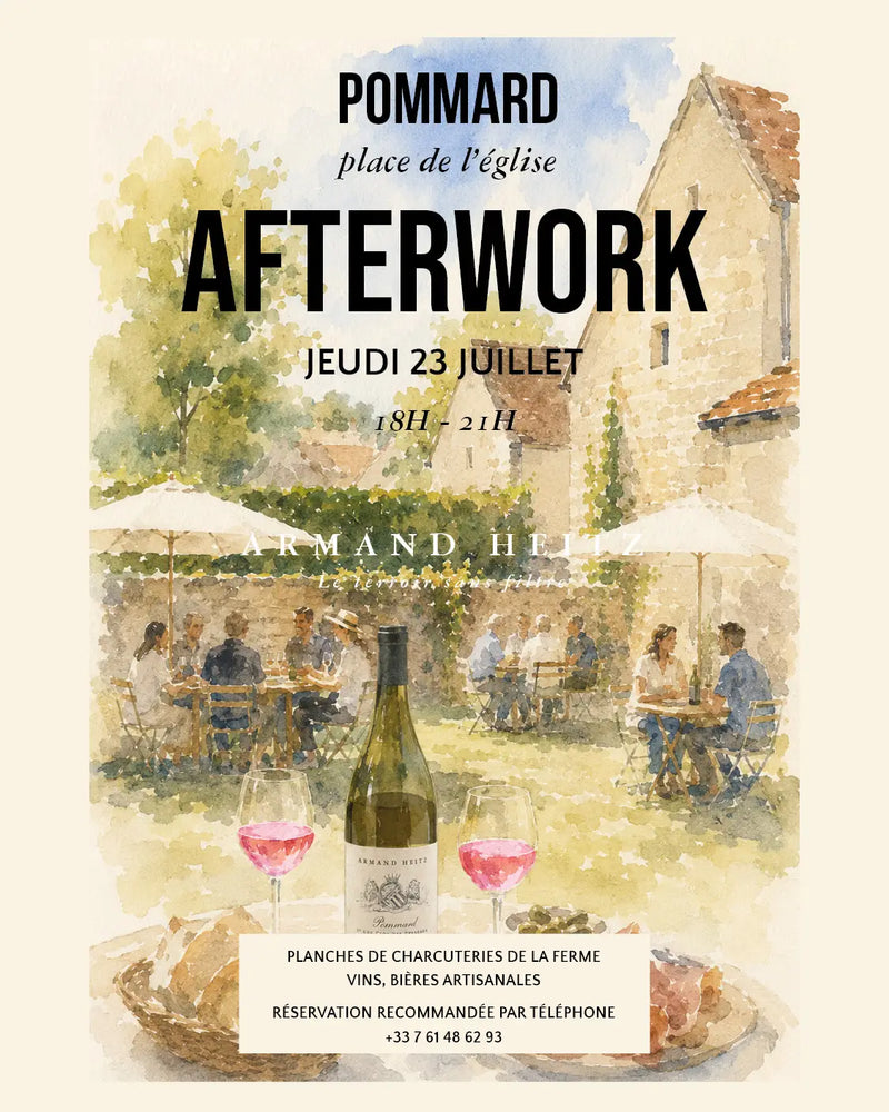 Afterwork au Cellier à Pommard