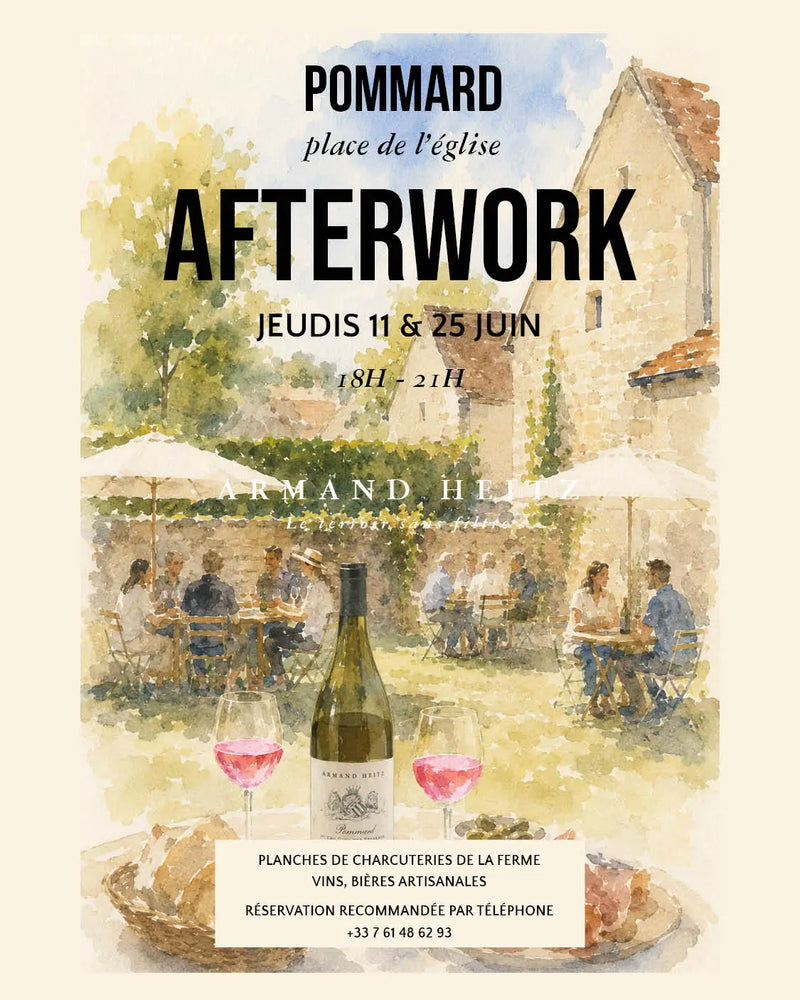 After-work drinks at Le Cellier in Pommard