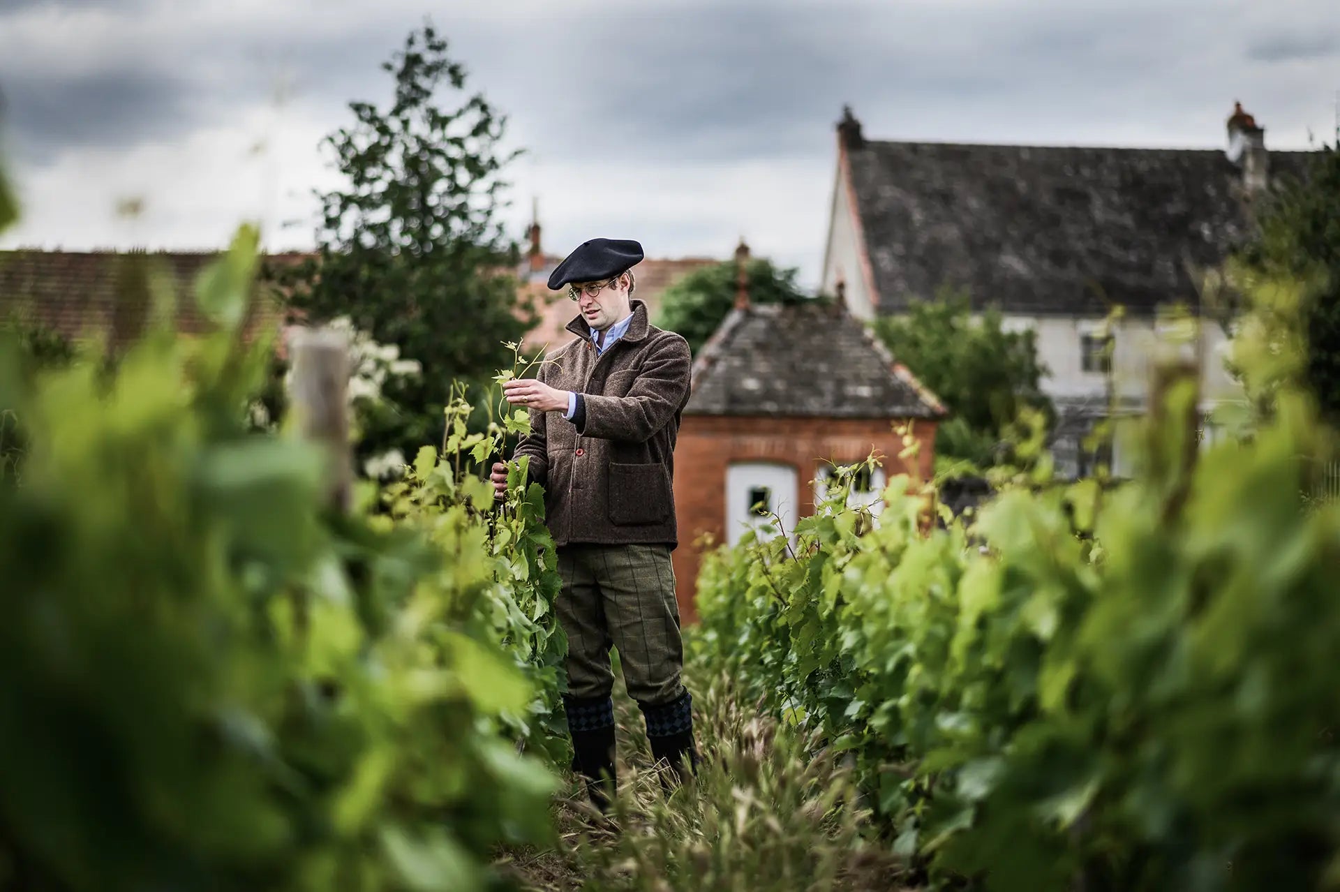 armand-heitz-chassagne-montrachet-1er-cru-maltroie-philosophie.webp