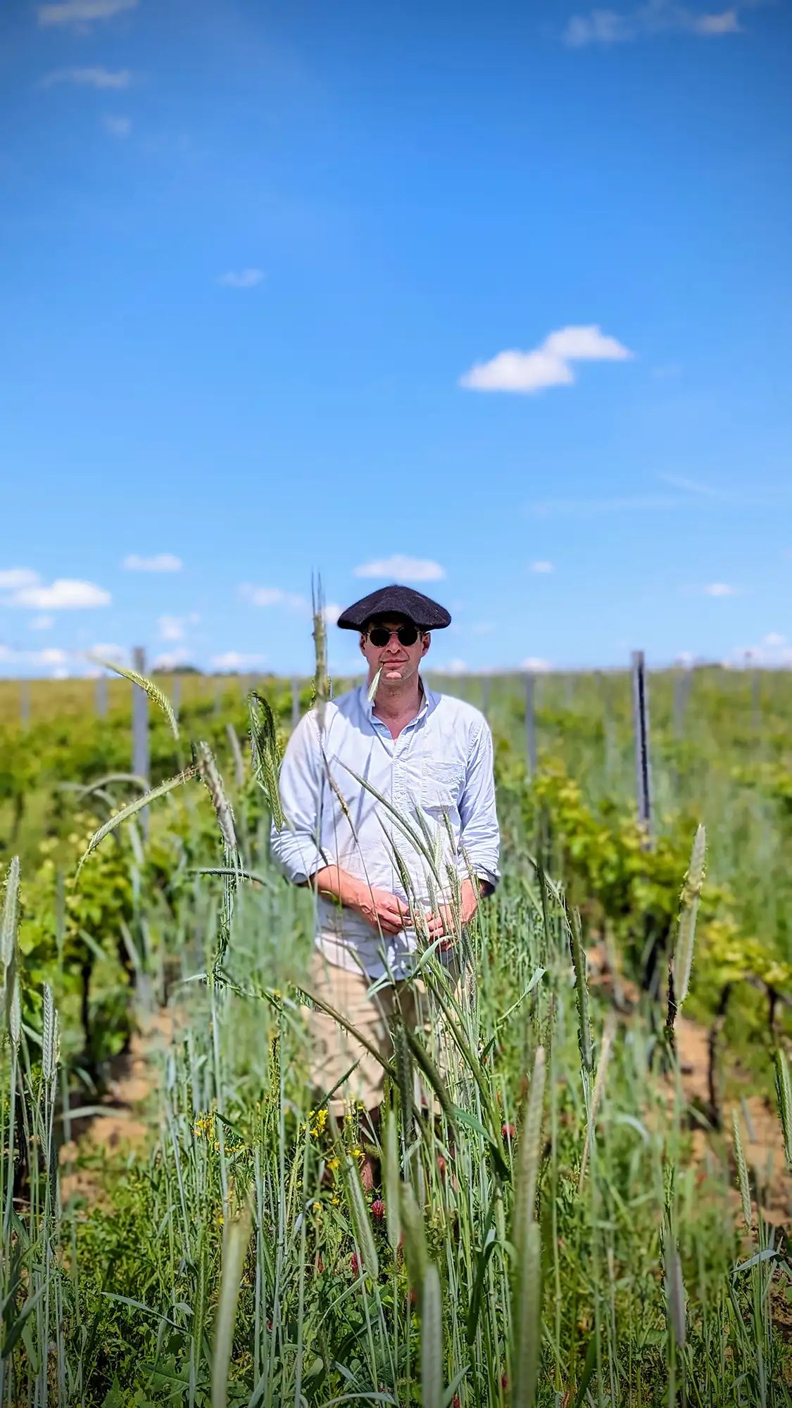 armand-heitz-paysan-vigneron-bourgogne-vins.webp