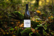 Beaune Lulune Domaine Armand Heitz 