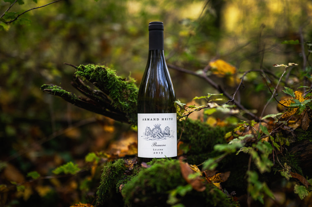 Beaune Lulune Domaine Armand Heitz 