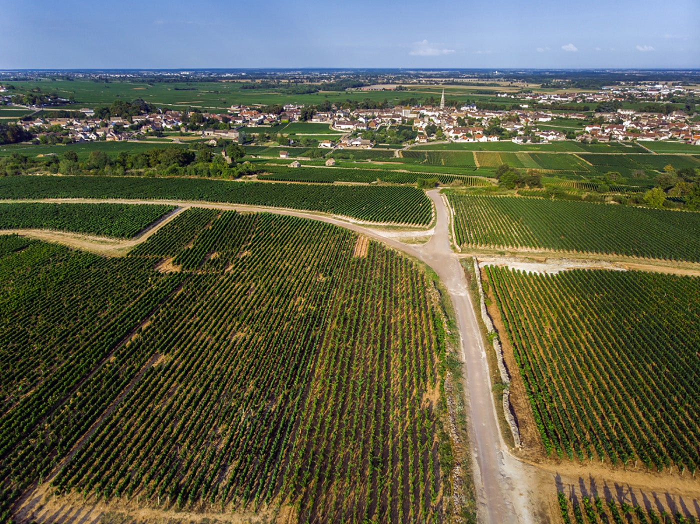 bourgogne-parcelles-vignes-cote-de-beaune-patrimoine-vin-armand-heitz.jpg
