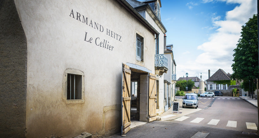 Le Cellier Armand Heitz à Pommard, travaux réalisés par A&A Heitz Architecture