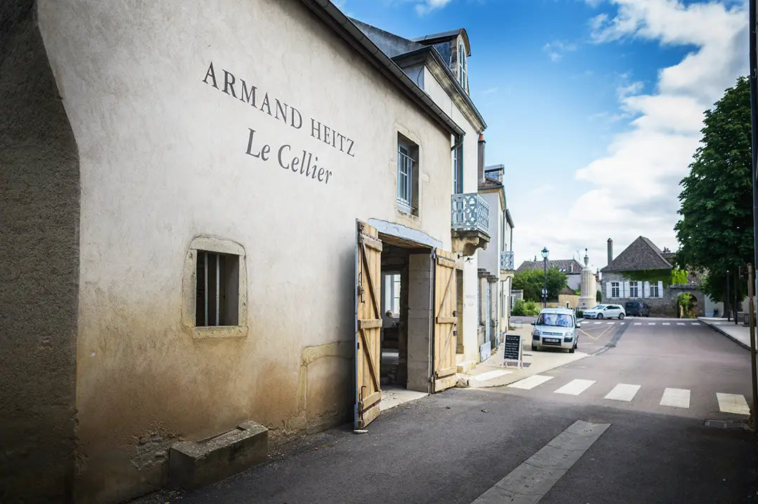 cellier-pommard-boutique-caveau-degustation-architecture.webp