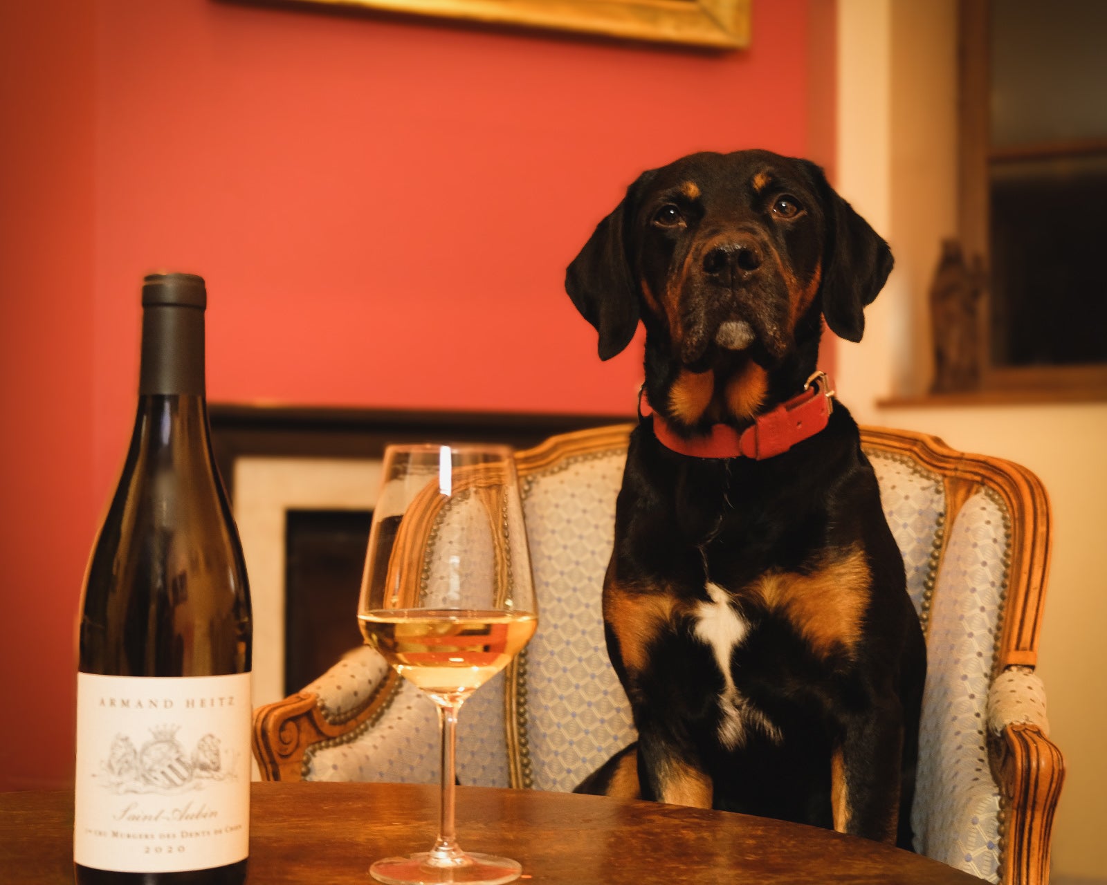 Saint Aubin 1er Cru - Murgers des Dents de Chien (blanc)