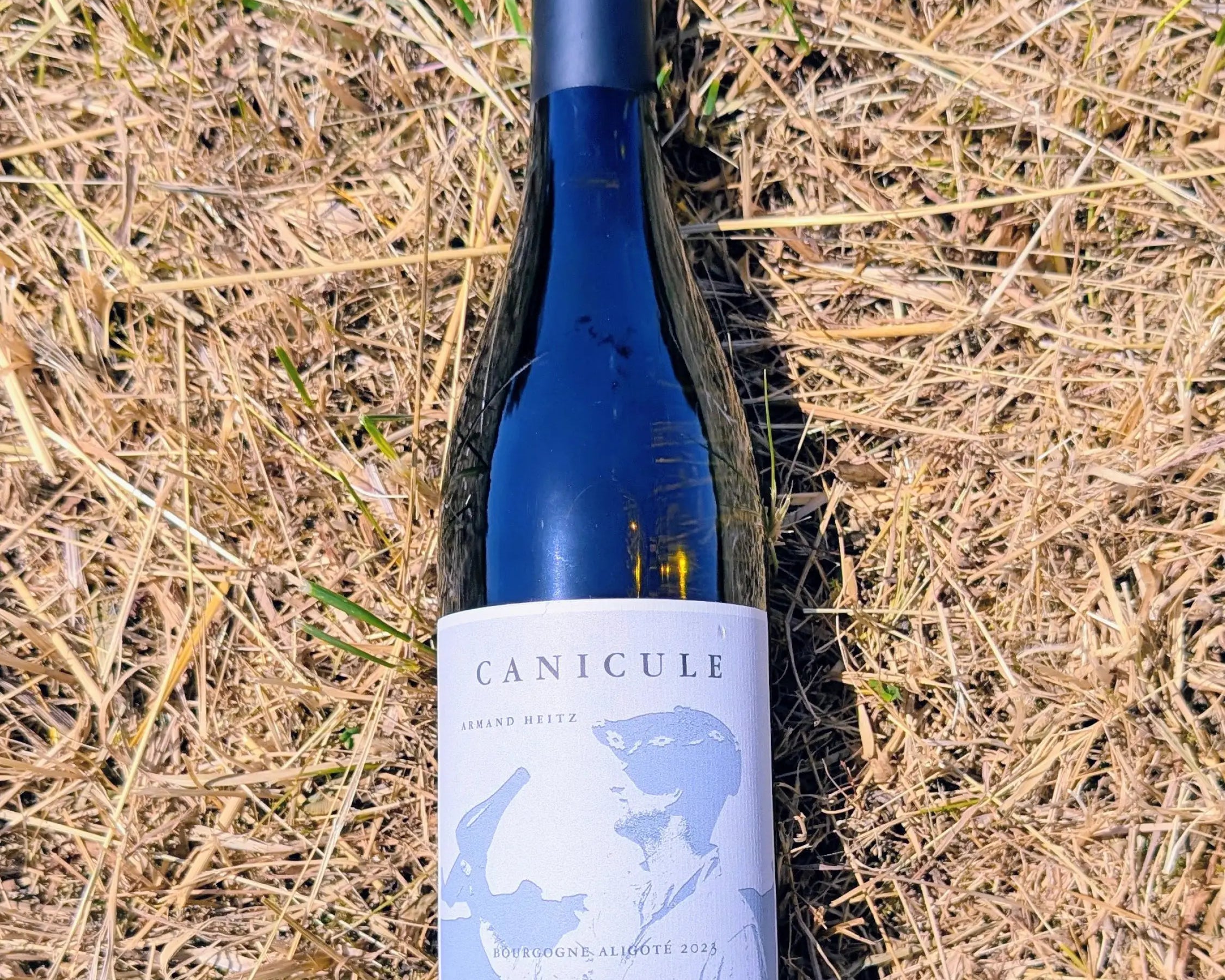 Armand Heitz cuvée Canicule Bourgogne aligoté 2023