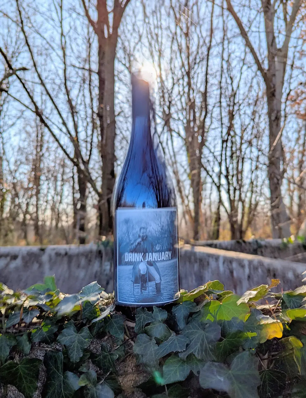 cuvée Drink January Armand Heitz