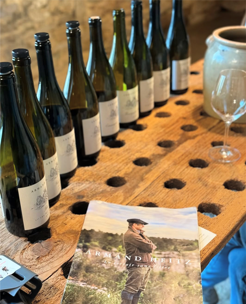 degustation-vin-tasting-armand-heitz-wine-pommard-burgungy-bourgogne.webp