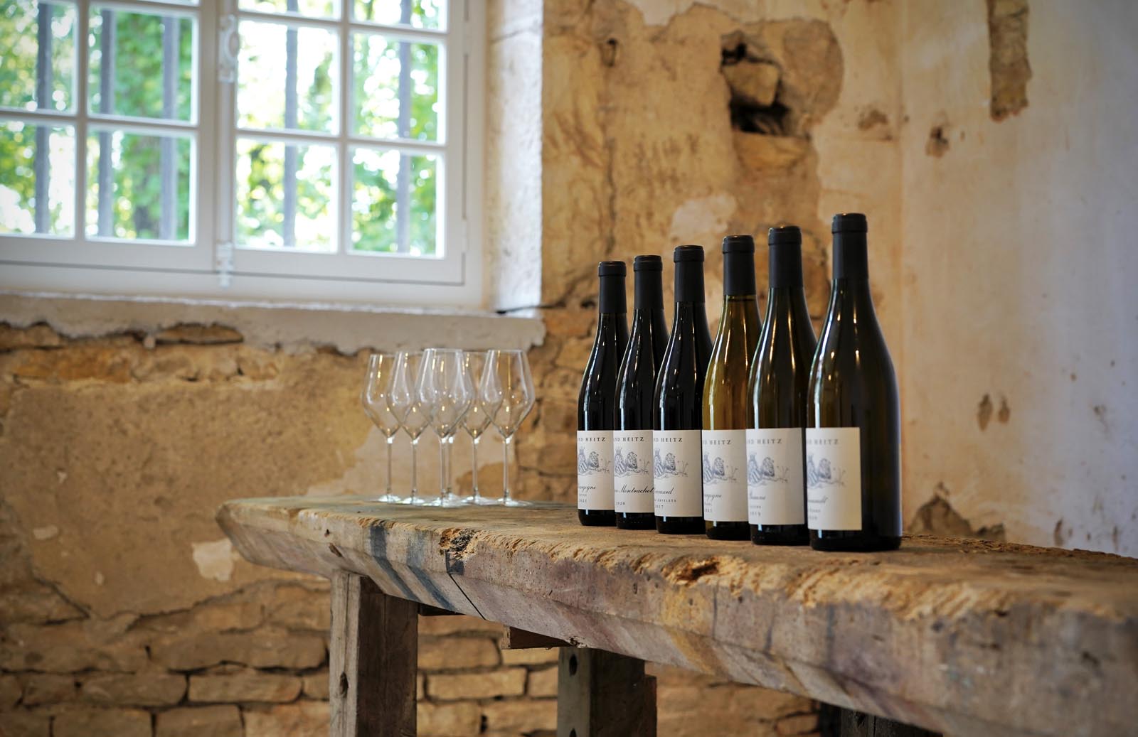Dégustation vins de Bourgogne au Château Armand Heitz - les vins