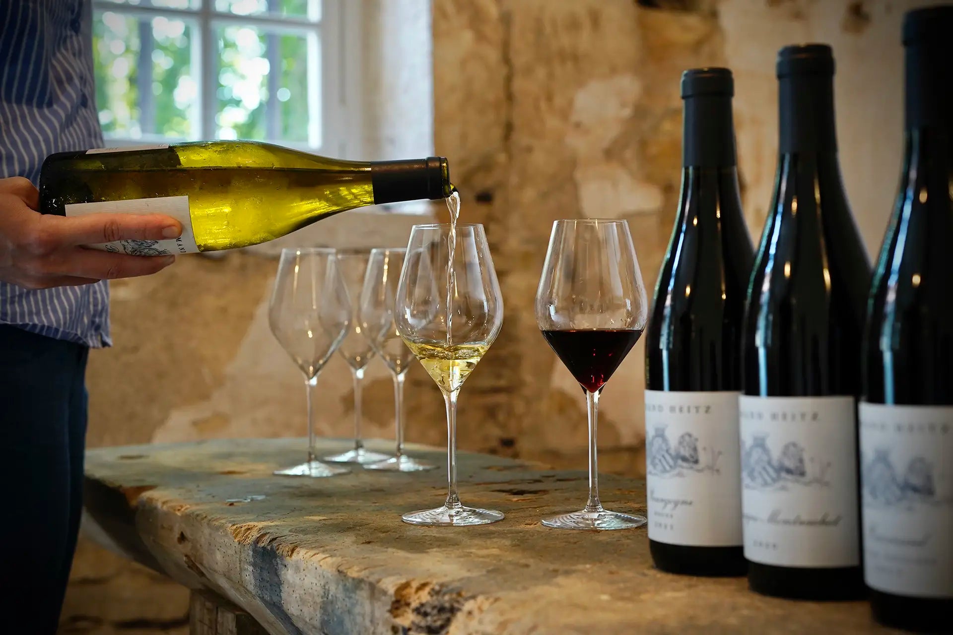 degustation-vins-wines-tasting-bourgogne-burgundy-chateau-mimande-armand-heitz-cellier-pommard.webp