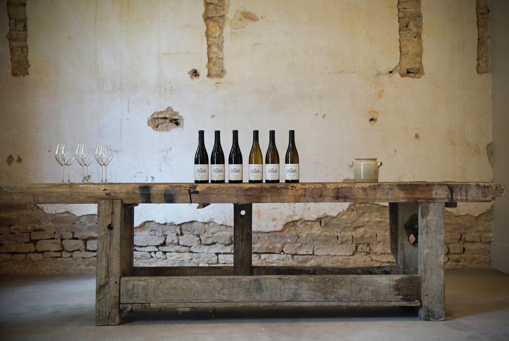 Dégustation vins de Bourgogne au Château Armand Heitz - la salle de dégustation