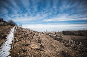 Juliénas parcelle enneigée, Domaine Armand Heitz Beaujolais