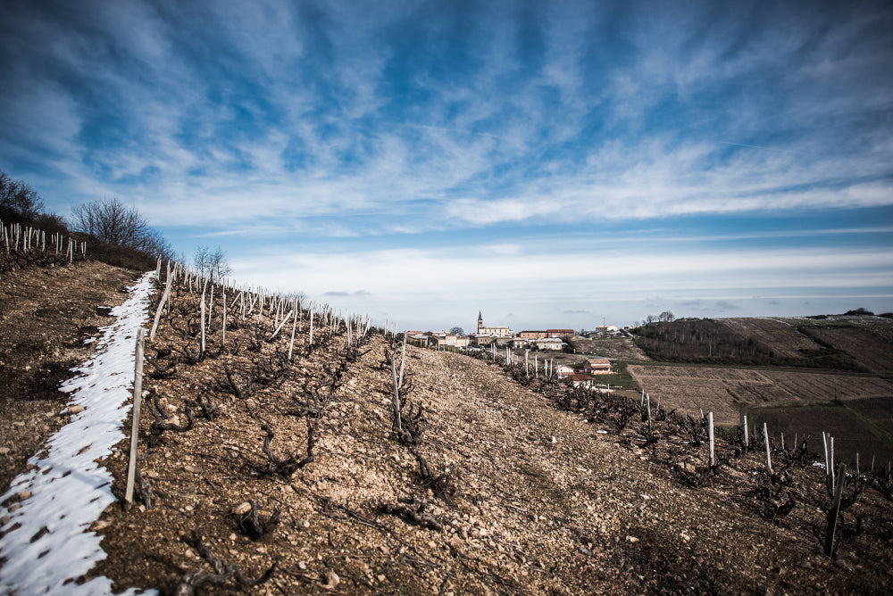 Juliénas parcelle enneigée, Domaine Armand Heitz Beaujolais