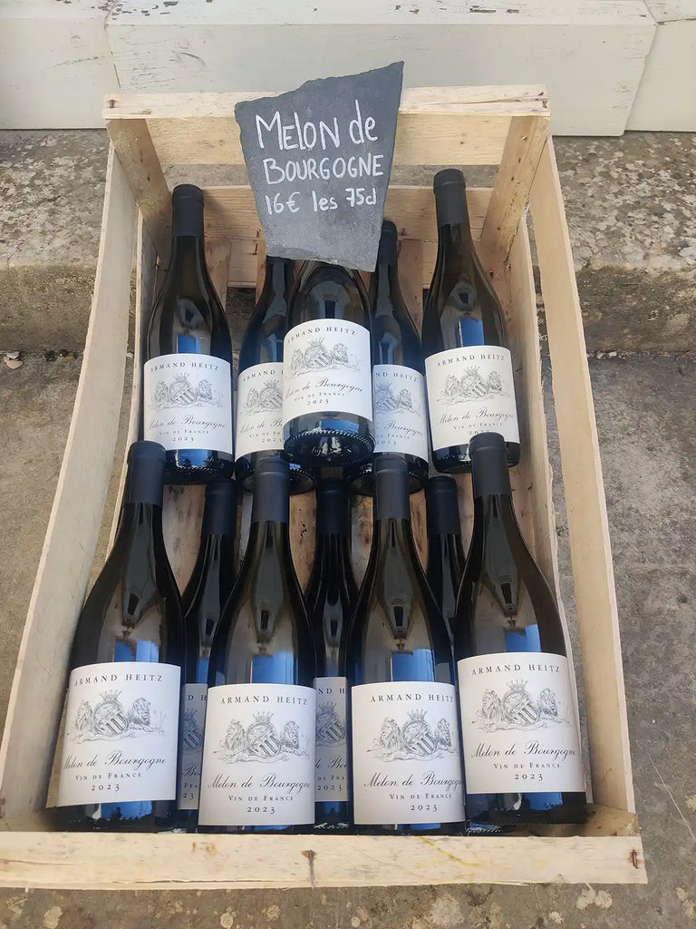 Bouteille de Melon de Bourgogne Armand Heitz