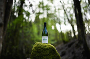 Meursault La Barre vin blanc de Bourgogne appellation village domaine Armand Heitz
