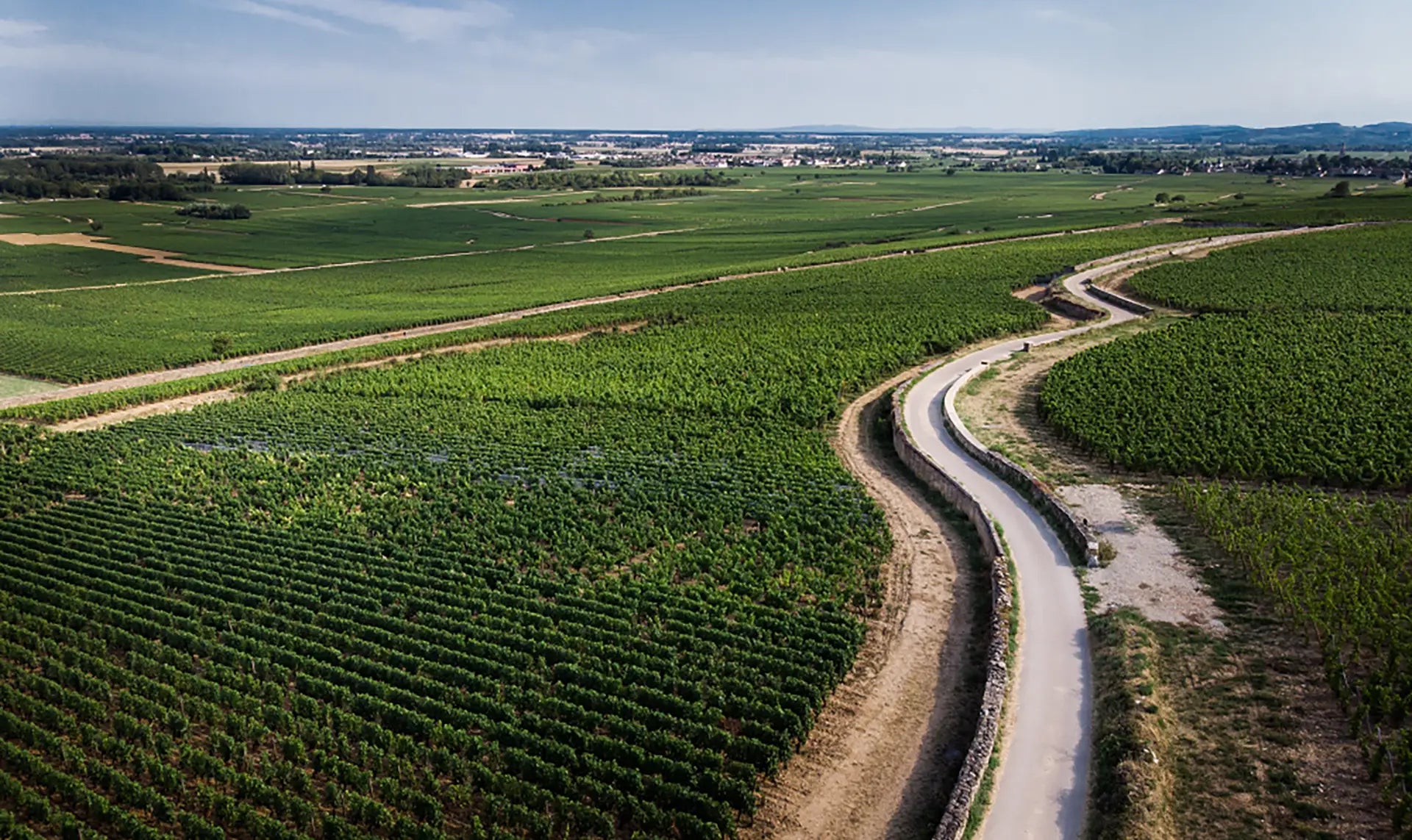 parcelle-vignes-bourgogne-vin-drone-photo-image-burgundy-wine-unesco.webp