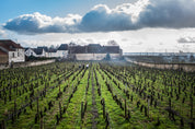 Pommard 1er Cru - Clos des Poutures Monopole 