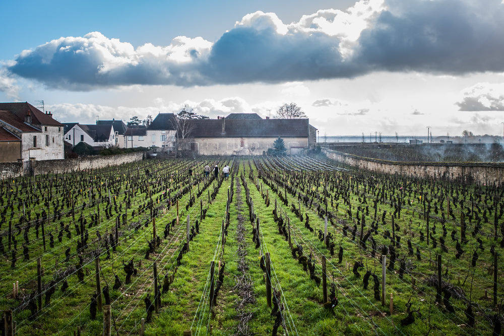 Pommard 1er Cru - Clos des Poutures Monopole 