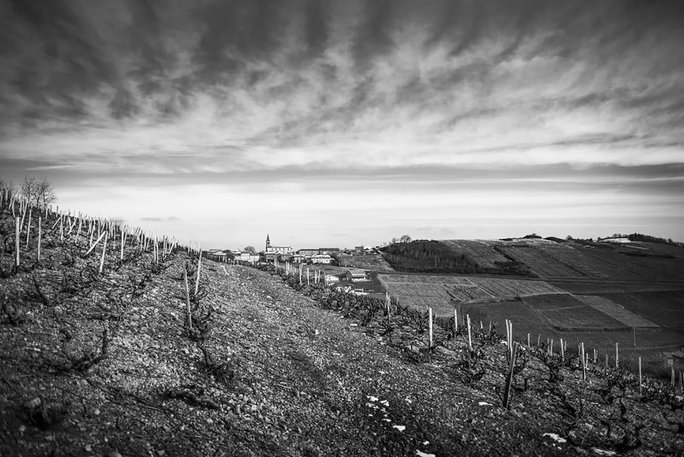 vignes-beaujolais-coteaux-julienas-black-white-photography-armand-heitz.jpg